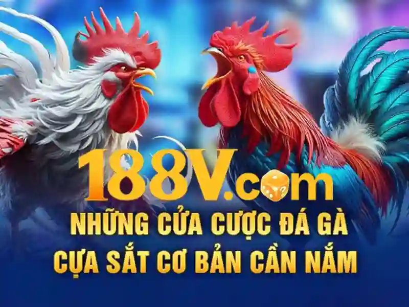 trải nghiệm cá cược - 188V - kursyjezykowe.biz