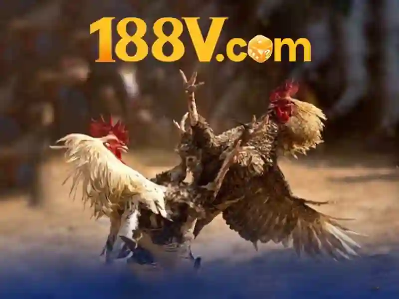  188v.com - 188V - kursyjezykowe.biz