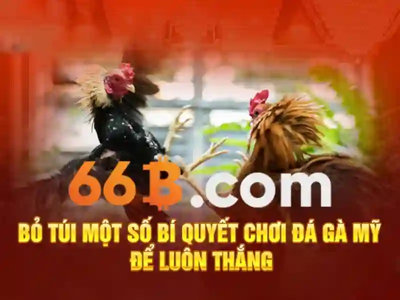 Kiến trúc và quy mô