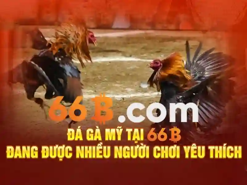 66B là gì?>\n\n
