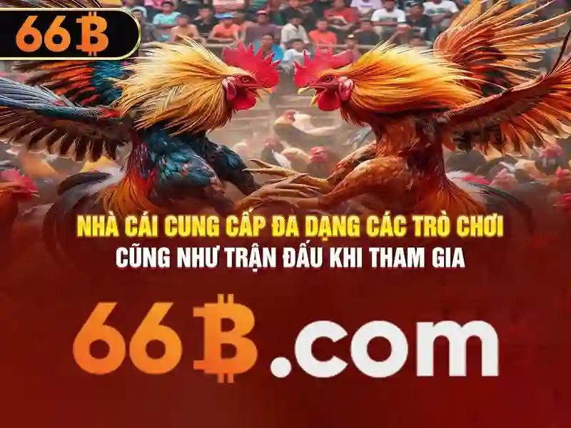 '66b nhentai – trải nghiệm người dùng'