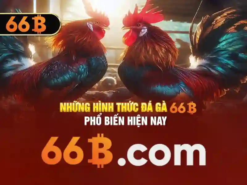 trang chủ 66b – Tóm lược chủ đề và giá trị cốt lõi