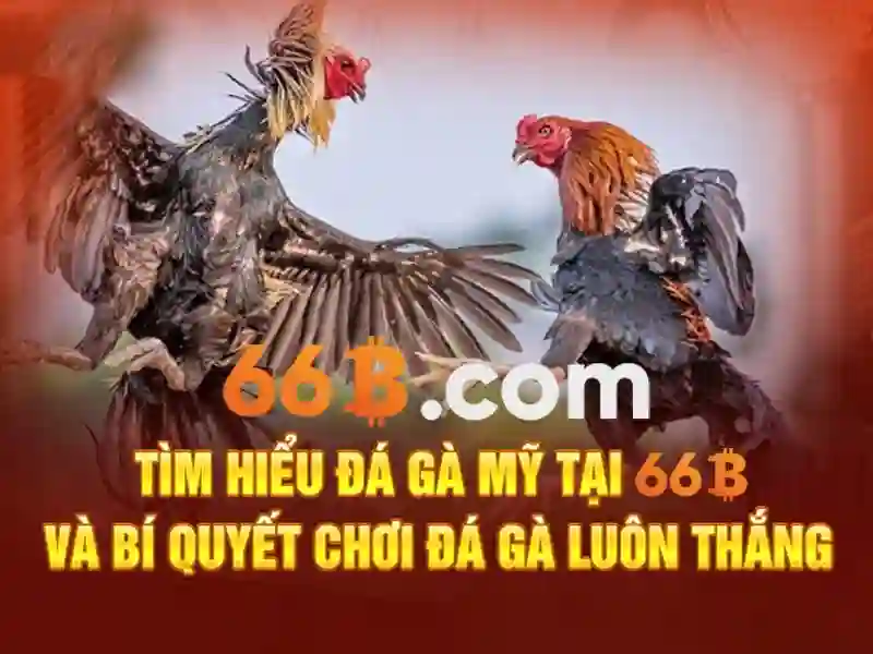 Ý nghĩa của kích thước 66b và cách đo