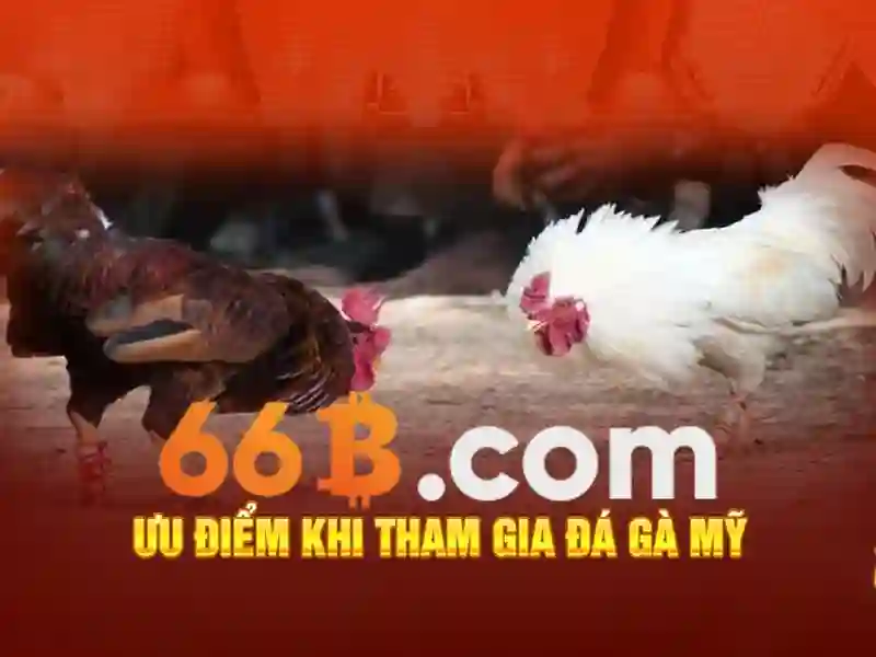 Kiến trúc và quy mô