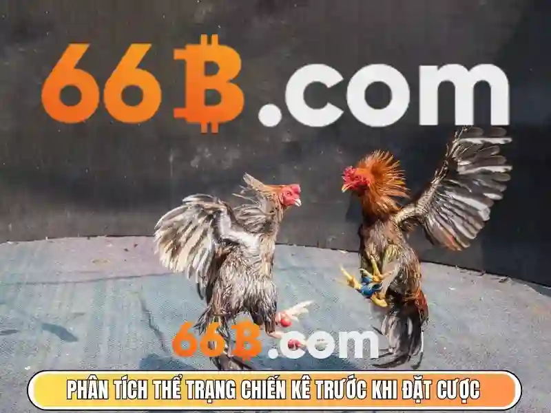 Giai-doan-danh-gia-dieu-khoa