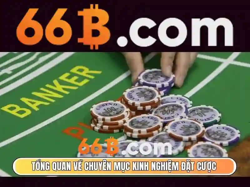 Kiến trúc và đặc điểm của 66B