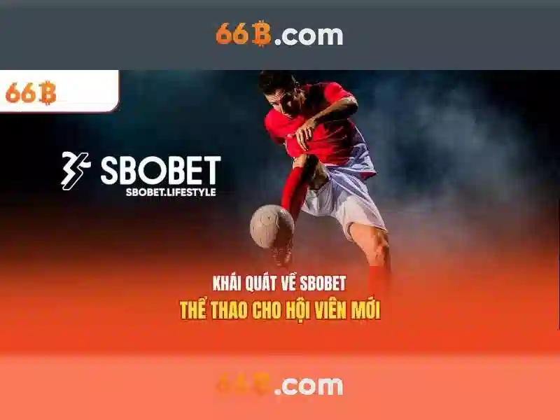 Ứng dụng và tiềm năng của 66B