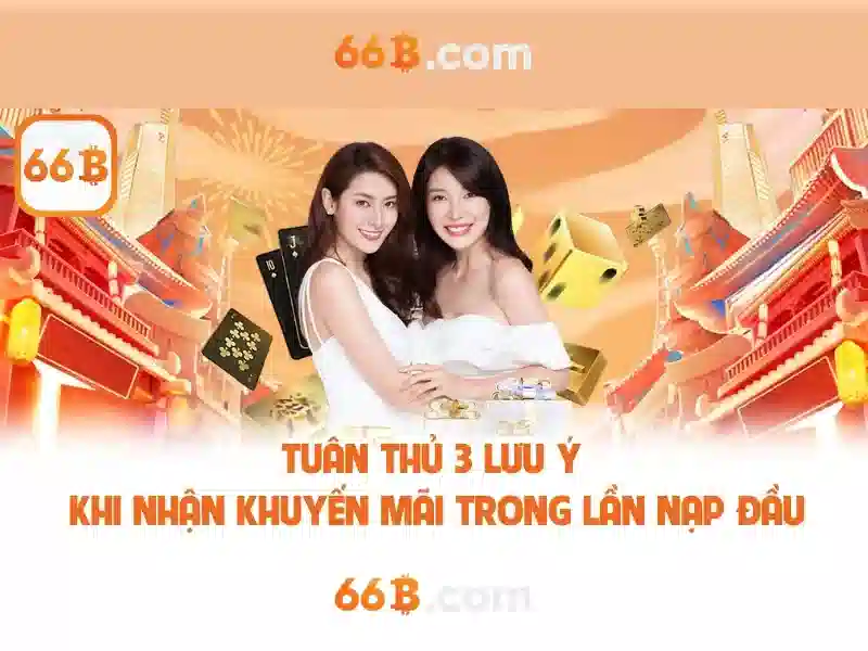 Cấu hình và quy mô