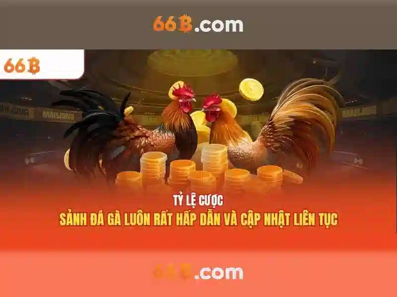 Nguyên lý hoạt động của 66b\n