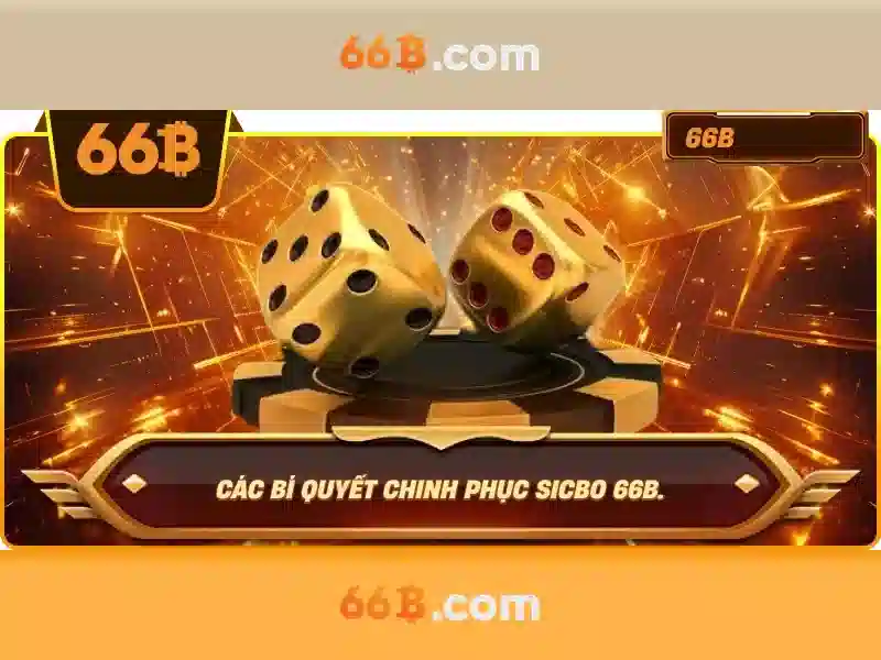 66B là gì và tại sao nó quan trọng