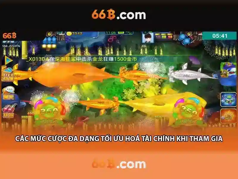 66b: một khái niệm và hành trình khám phá