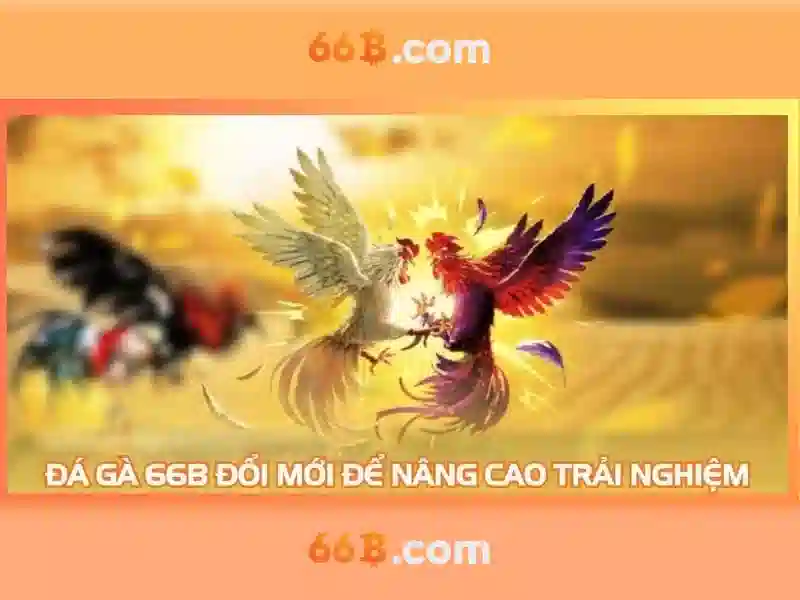 Kiến trúc và khả năng