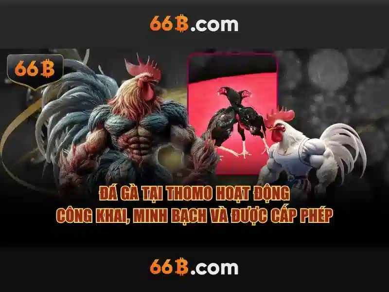 review 66b – Tổng quan chủ đề và giá trị cốt lõi