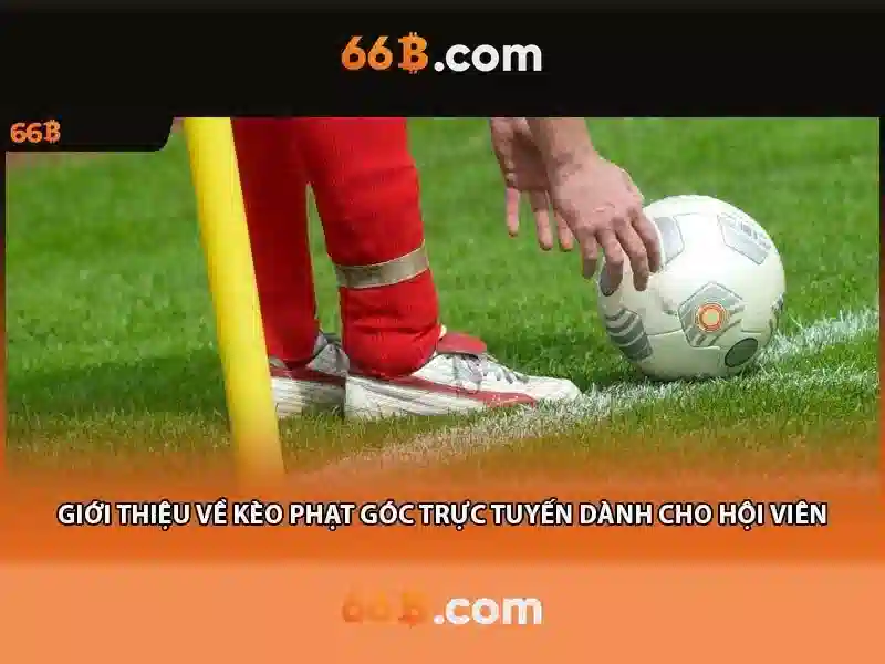  Sản phẩm chính và dịch vụ: ứng dụng thực tế của bếp từ canzy cz-66b 