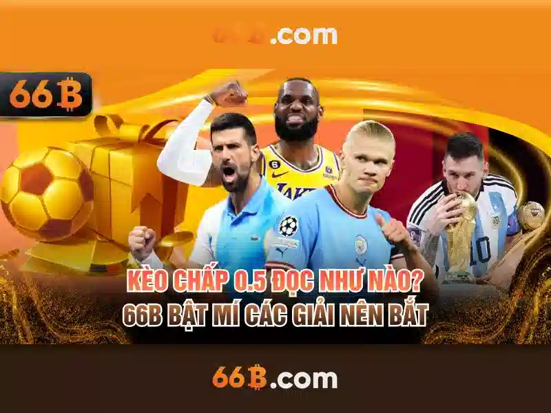 Ứng dụng và thị trường