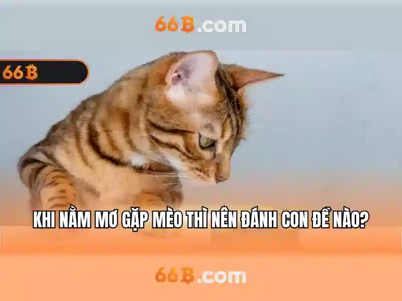 66b: một khía cạnh công nghệ và tương lai