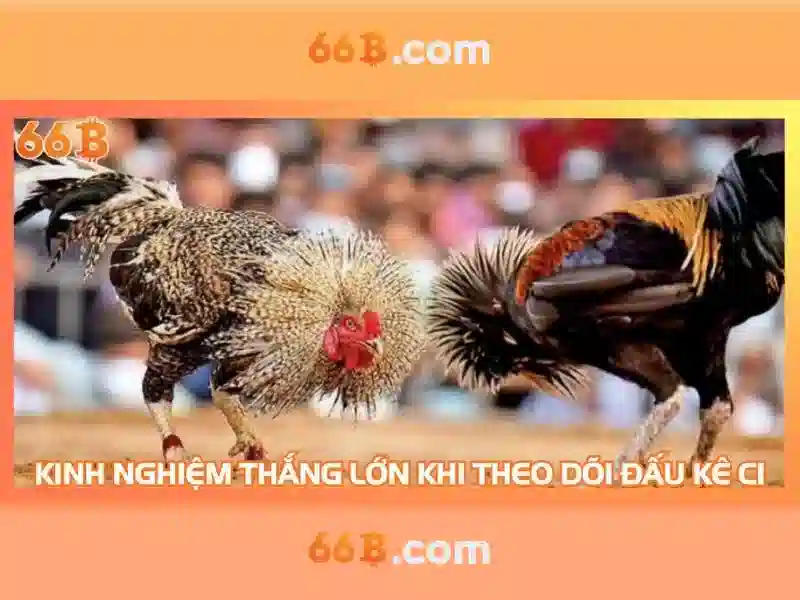 Mẹo chơi bắn cá 3 cây dễ ăn tiền nhà cái