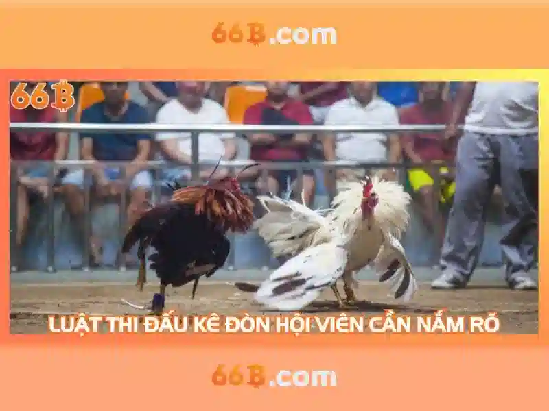 66b quang trung hải dương – Tóm tắt chủ đề và giá trị