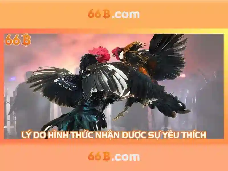 Mô hình ngôn ngữ 66 tỷ tham số: Hiệu suất, ứng dụng và thách thức
