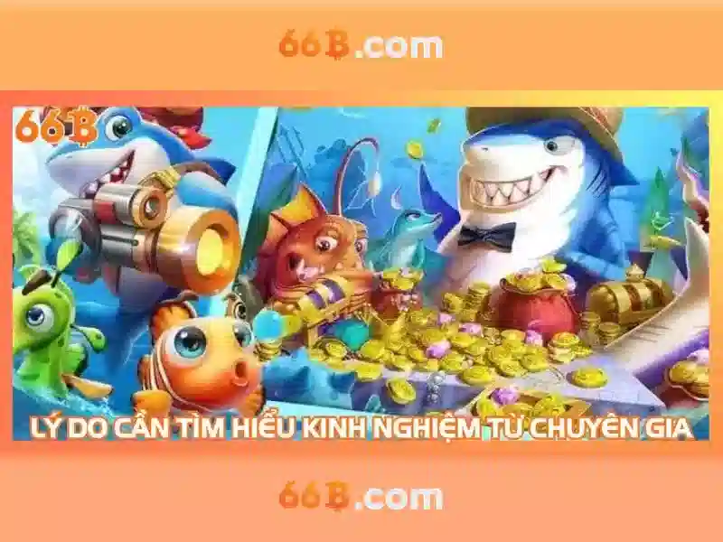 Ứng dụng và tiềm năng phát triển của 66b