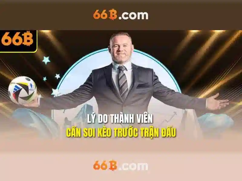 66B là gì