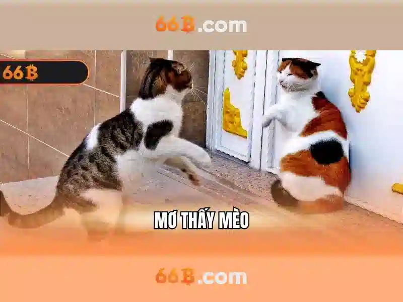 66b nguyễn thi sách: câu chuyện thương hiệu và trải nghiệm