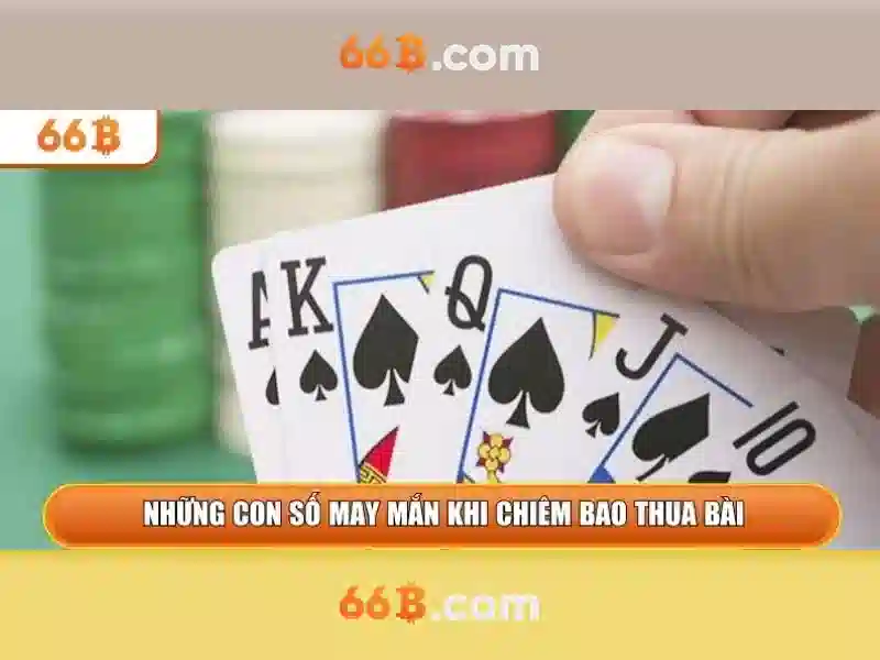 Giới thiệu về 66B\n
