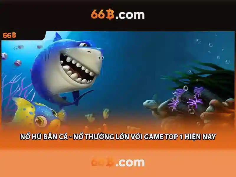 66b là gì?\n