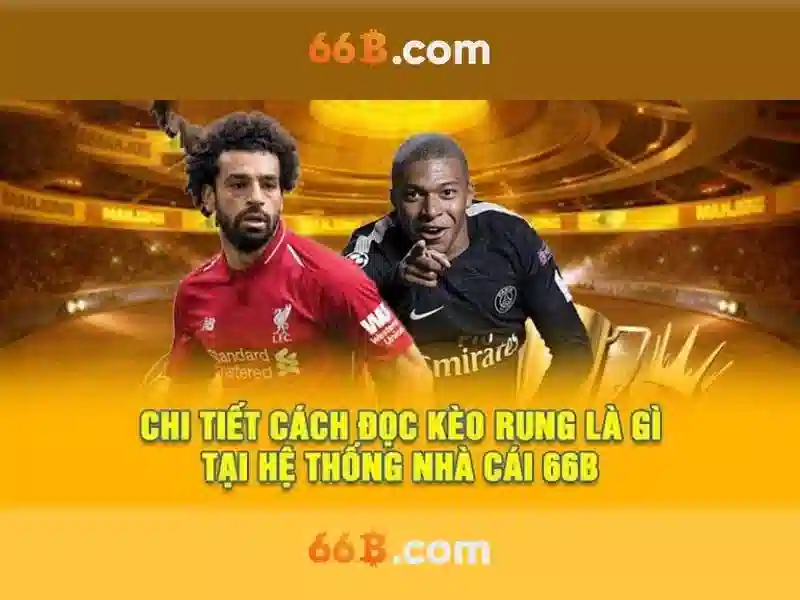 66b là gì?\n