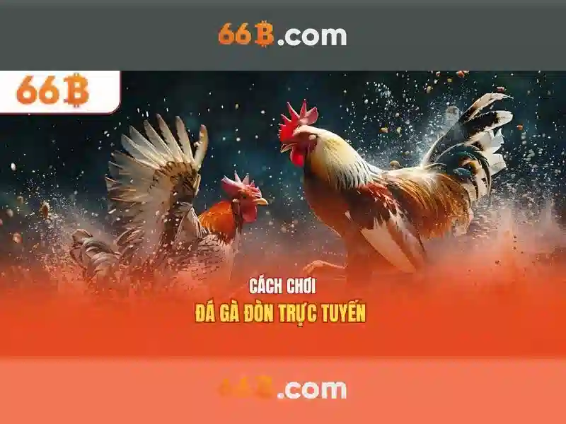 66b trong tiếng Việt: bản tóm tắt và ảnh hưởng