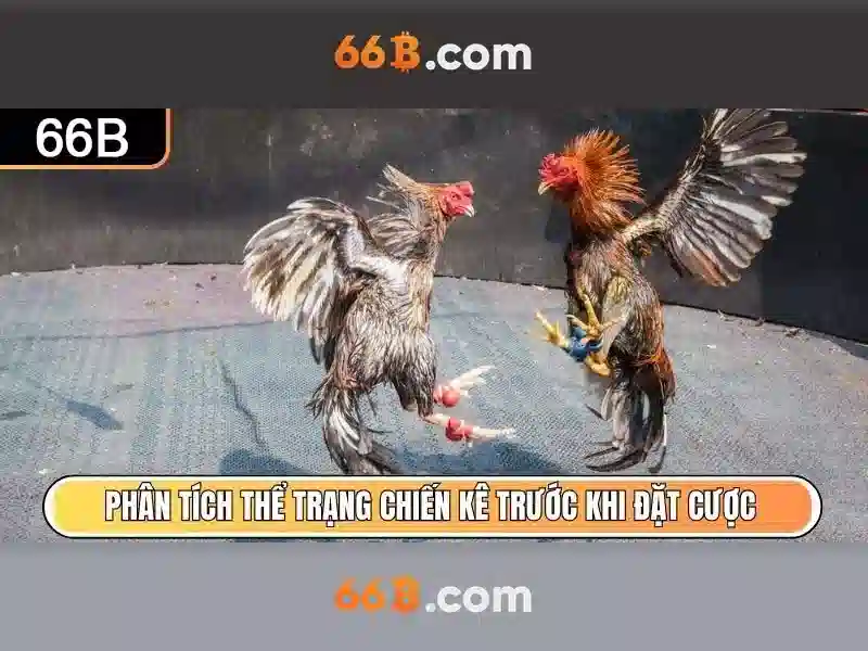 66B: Mô hình ngôn ngữ 66 tỷ tham số và ý nghĩa của nó