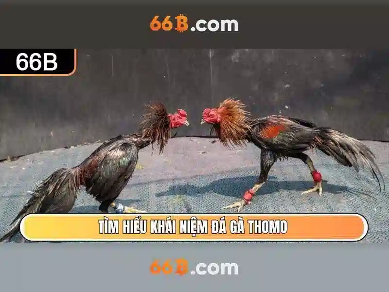 66B: Mô hình ngôn ngữ quy mô lớn của Meta