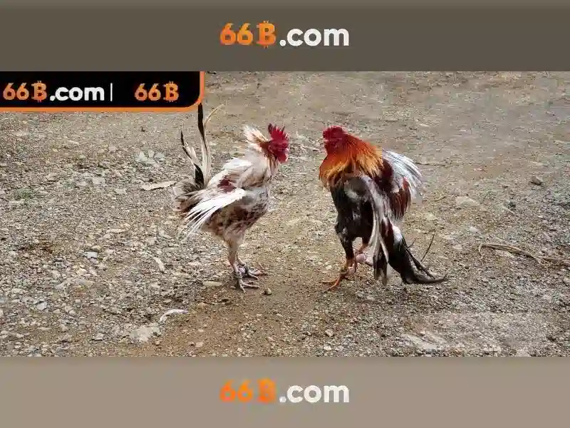 66B và vai trò của mô hình ngôn ngữ lớn