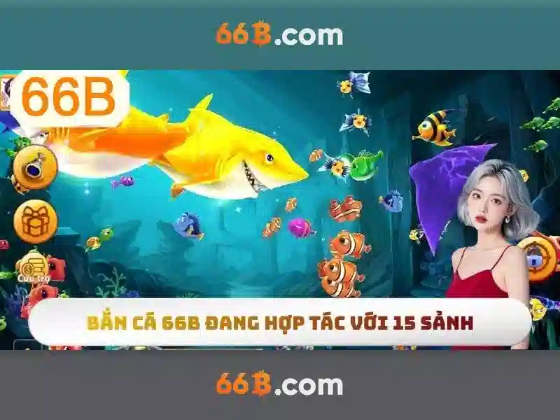 66B là gì và ý nghĩa của nó