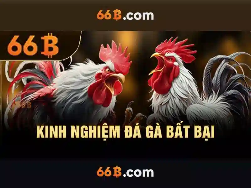 66b: Khái niệm và ứng dụng tiềm năng