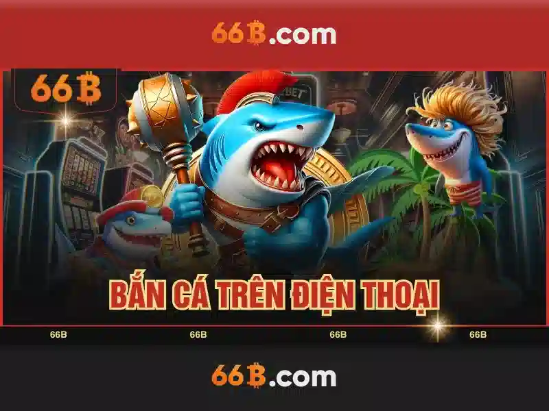 66B là gì và vì sao nó quan trọng