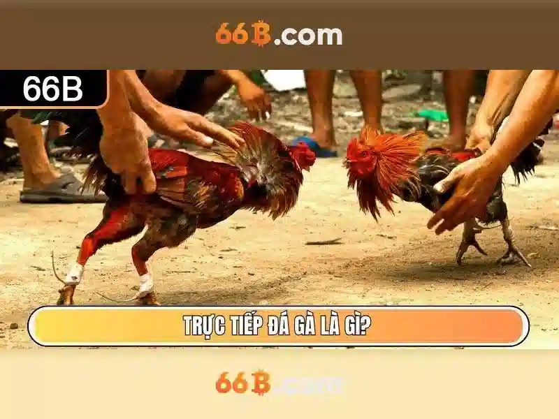 66b: một khái niệm công nghệ tương lai