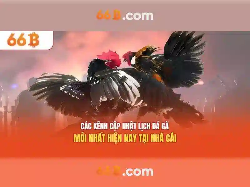 So sánh với các mô hình khác