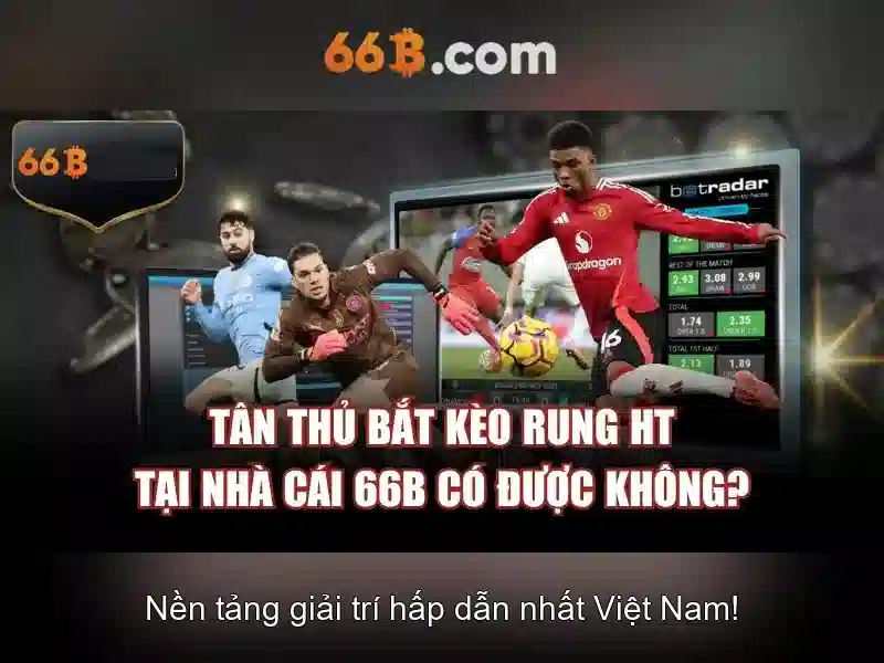 Nguồn gốc và ý nghĩa của 66b\n\n