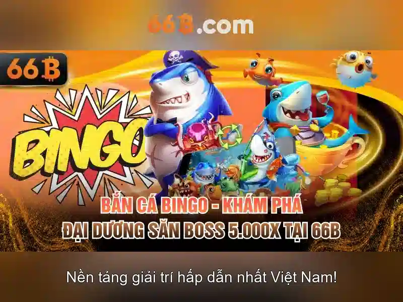 Giới thiệu về 66B