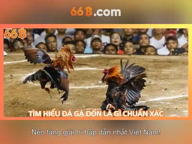 66b: một cái nhìn tổng quan về mô hình ngôn ngữ 66 tỷ tham số