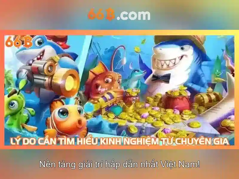 Tương lai và hướng phát triển của 66b