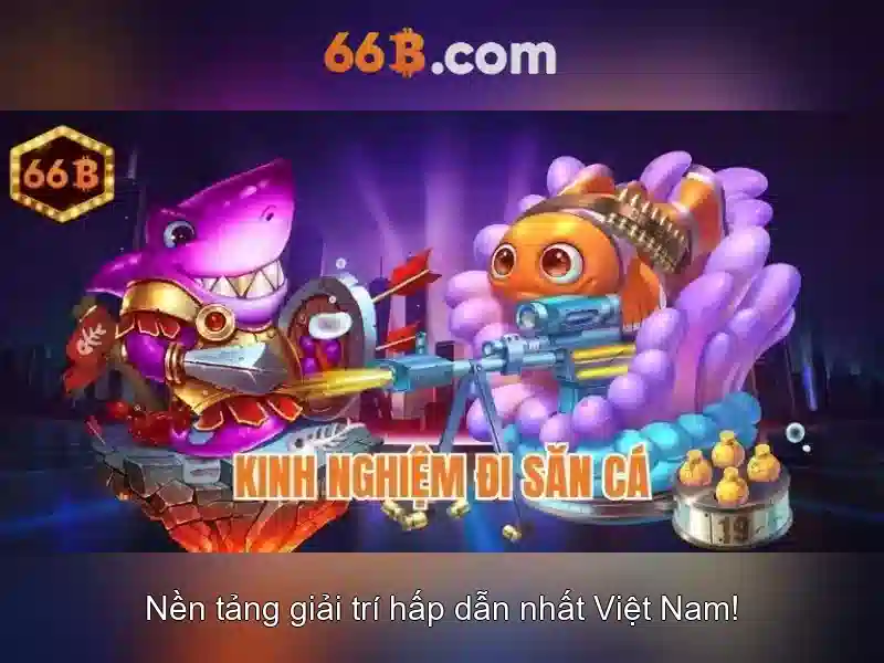 Giới thiệu về 66B\n