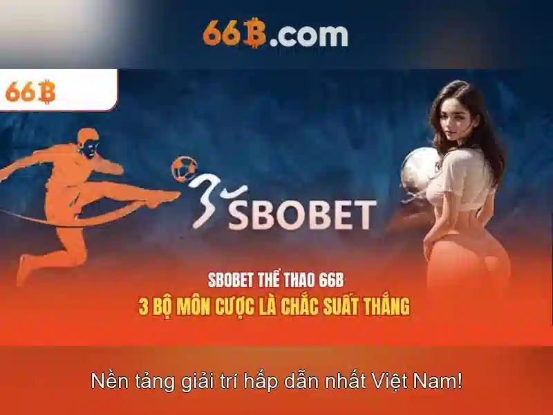 Giới thiệu về 66b\n