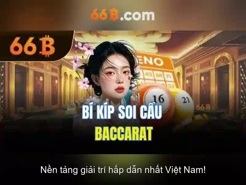 66B là gì?