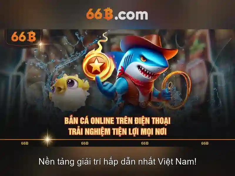 66B là gì?