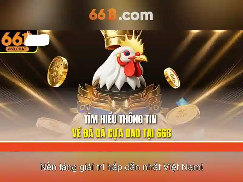 Khả năng và hạn chế