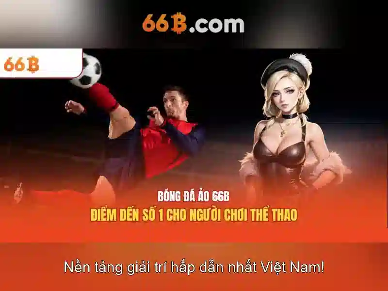 Giới thiệu về kích thước 66B