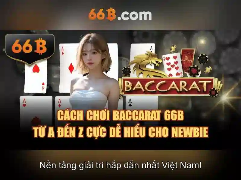 Giới thiệu về 66B\n