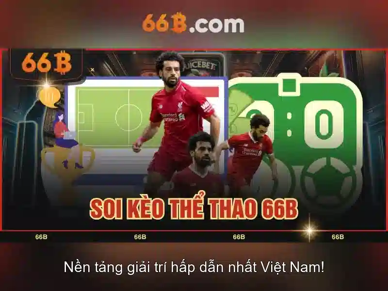 66B: tổng quan và ứng dụng